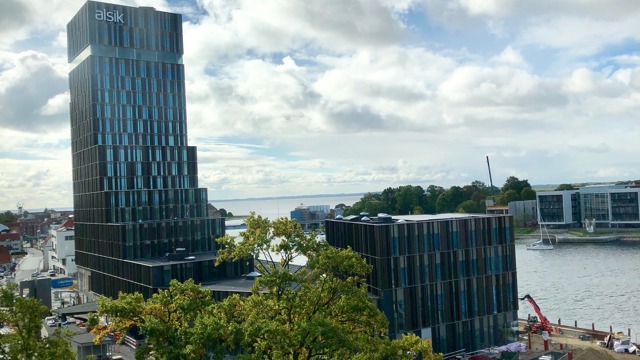 Sønderborg host town for international conference